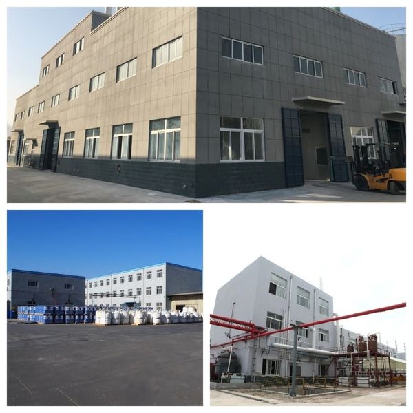 Chiny Shandong Jiuchong Chemical Co., Ltd. profil firmy